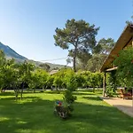 Koala Hotel 4*