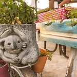 Koala 4* Olympos