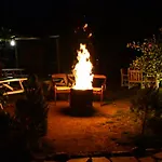 Koala Hotel 4*