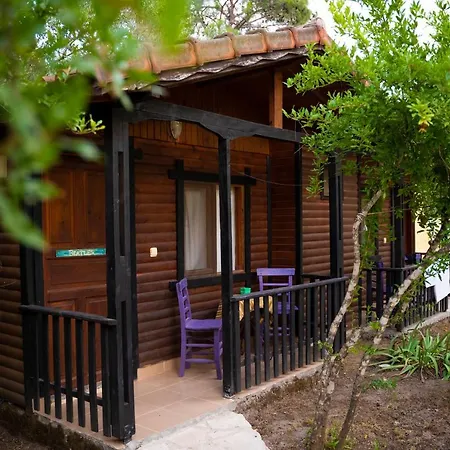 Koala Guest house