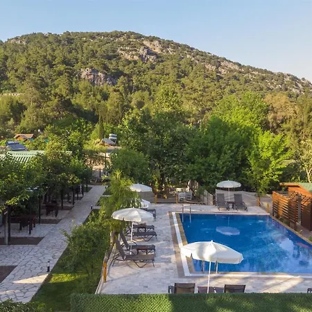 Koala 3* Olympos