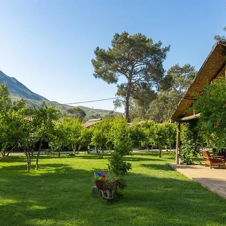 Koala Guest house 3*