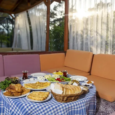 Koala Guest house 3*
