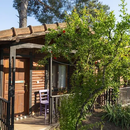 Guest house Koala Olympos