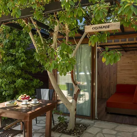 Koala Guest house Olympos