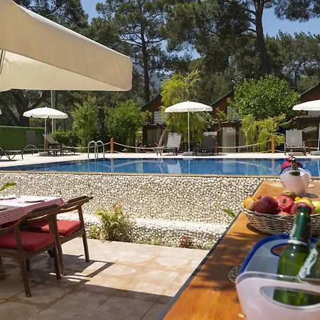 Guest house Koala 3*
