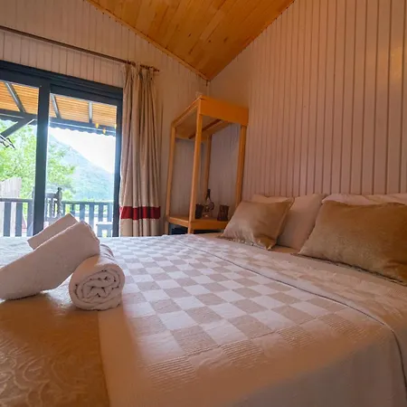 Koala Guest house