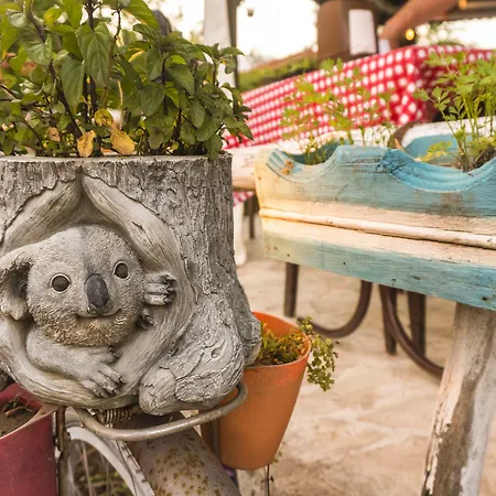 Koala 4* Olympos