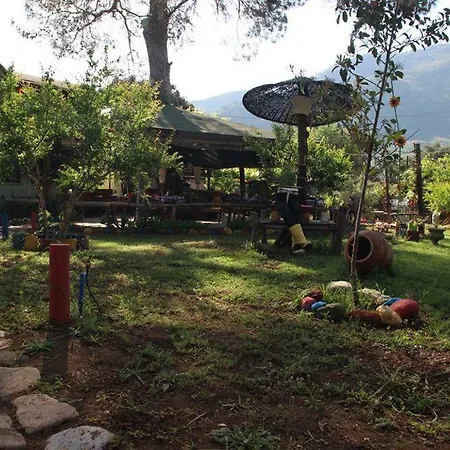 Koala Guest house Olympos