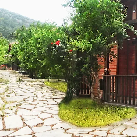 Guest house Koala Olympos