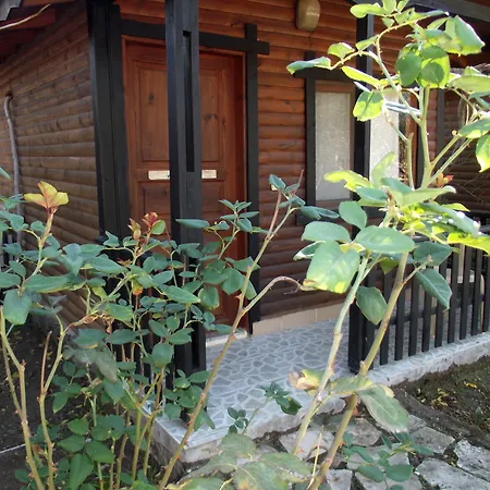 Koala Olympos