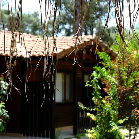 Koala Guest house Olympos
