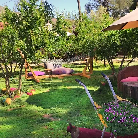 Koala Guest house Olympos
