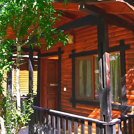 Guest house Koala 3*