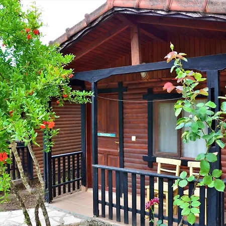 Guest house Koala