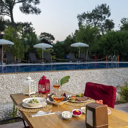 Koala Hotel 4*