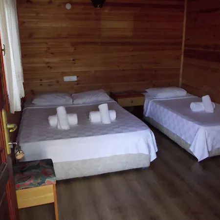 Hotel Koala
