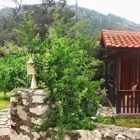 Koala Hotel