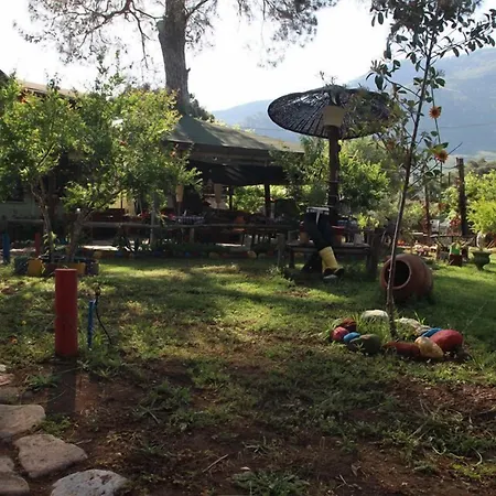 Koala Hotel Olympos