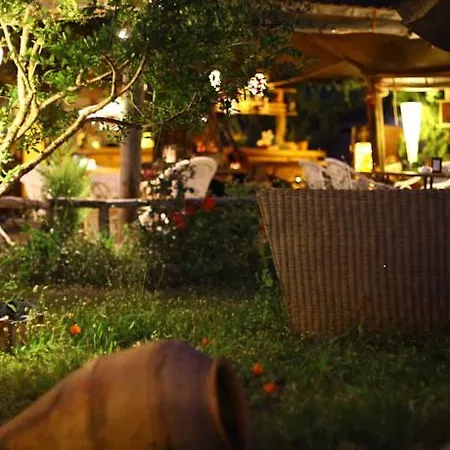 Koala Hotel 4*