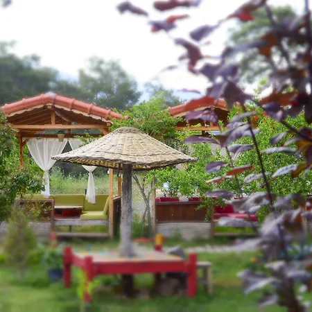 Koala Hotel