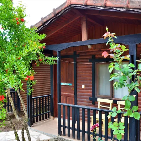 Koala Hotel