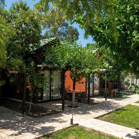 Koala Hotel 4*