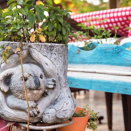 Koala Hotel Olympos