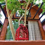 Koala Hotel