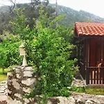 Koala Hotel